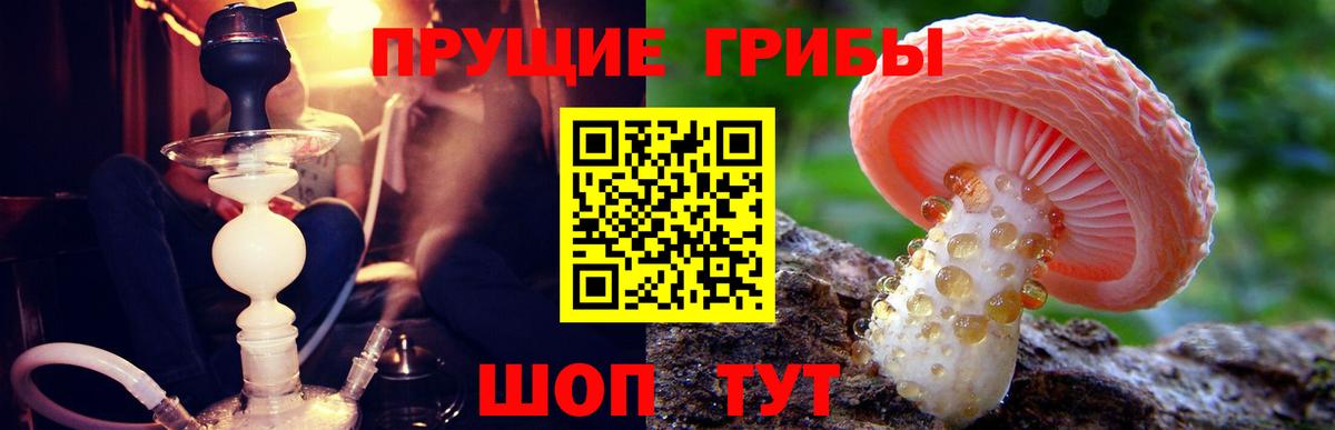 Аша  Галлюциногенные грибы мицелий  наркотики  Псилоцибиновые грибы GOLDEN TEACHER  Вход с VPN 